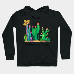 Mexico wonderfull Hoodie